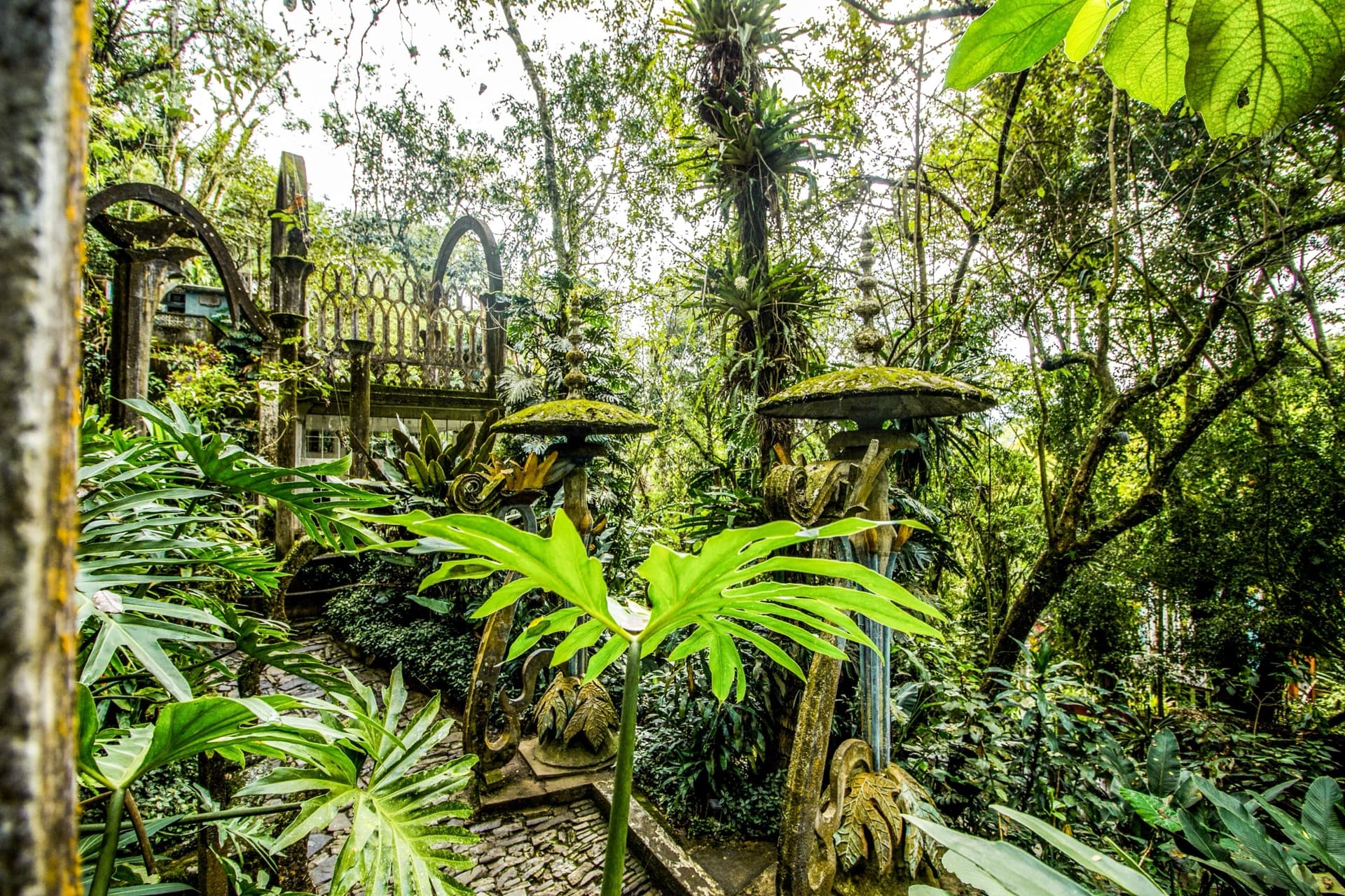 Fotografía 16 — Andrea Capitanacci