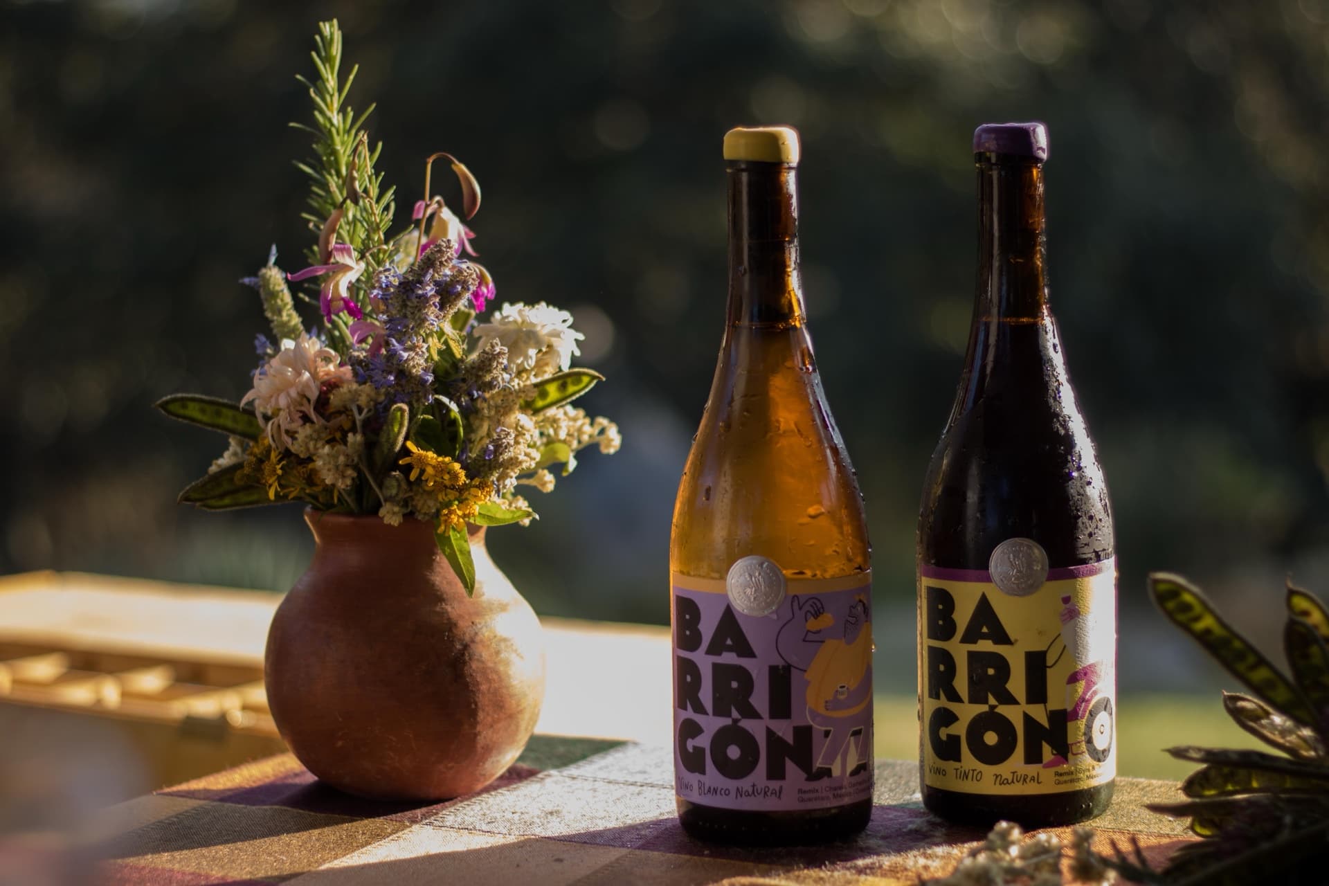 Fotografía 44 — Andrea Capitanacci